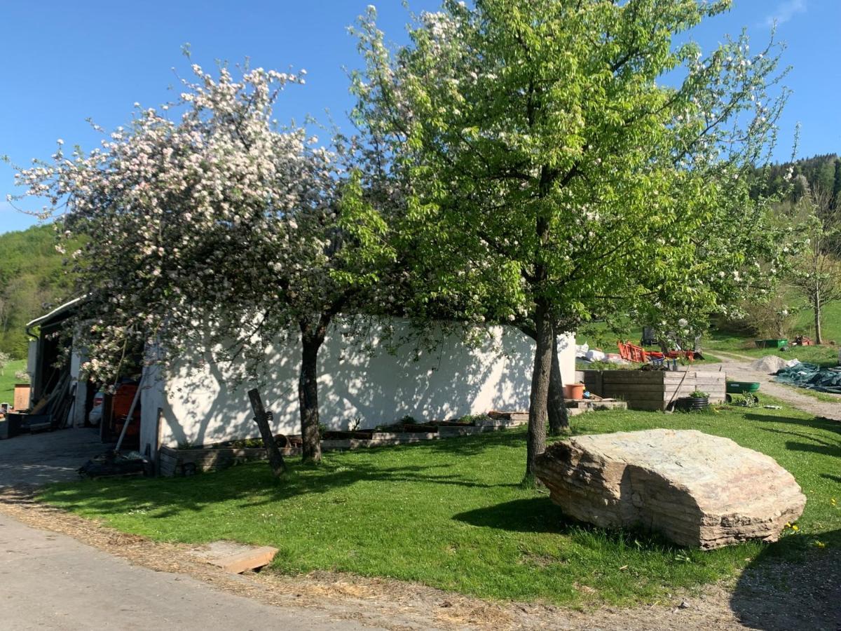 Ferienwohnung Waldkoehlerei Michelbach Εξωτερικό φωτογραφία